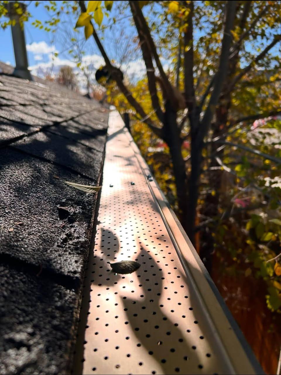 Gutter guard shedding autumn leaves off the top of the trough instead of letting them fall in